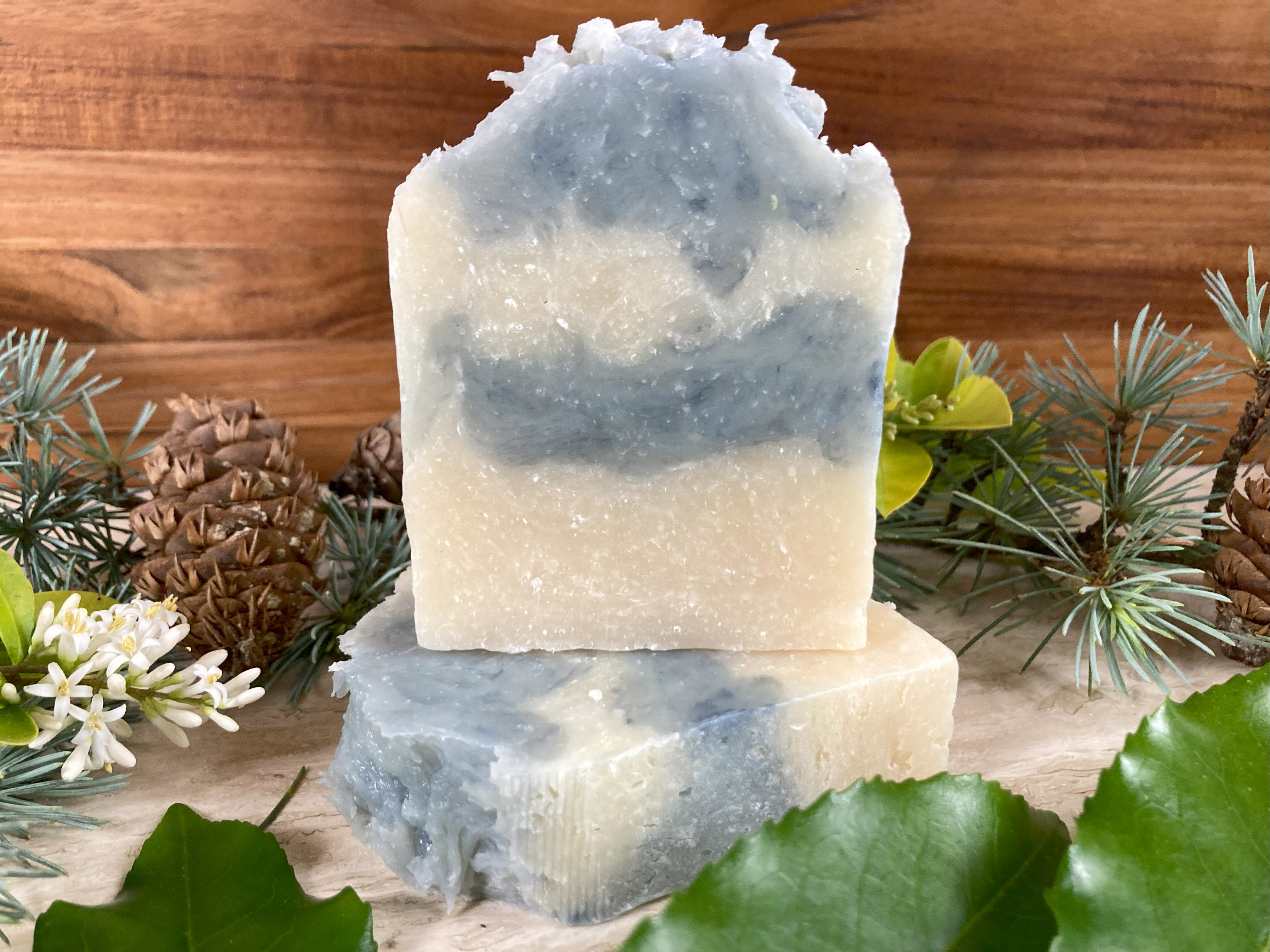 Blue Spruce Blue Spruce